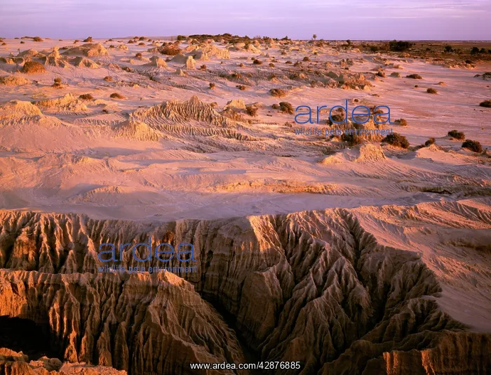 : Walls of China and Grand Canyon (front) Mungo National : Walls of China and Grand Canyon (front) Mungo National