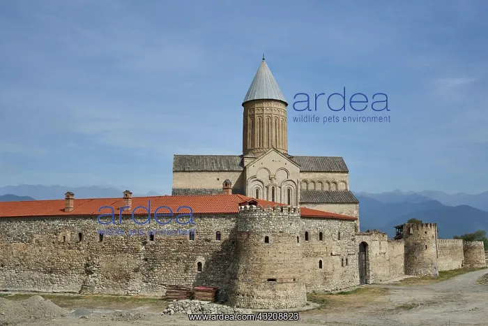 : Walls of defence, defence towers and Alaverdi Cathedral : Walls of defence, defence towers and Alaverdi Cathedral