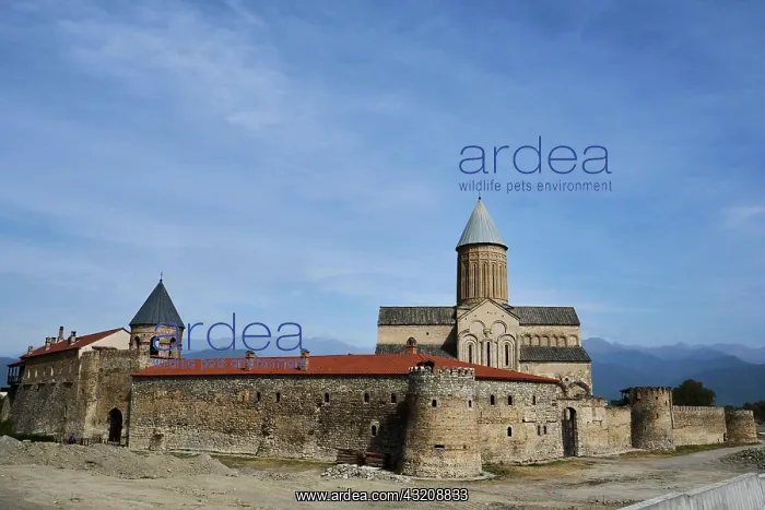 : Walls of defence, defence towers and Alaverdi Cathedral : Walls of defence, defence towers and Alaverdi Cathedral