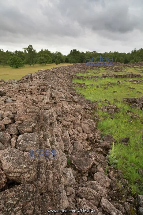 : The walls of an old ringfort grown with vegetation : The walls of an old ringfort grown with vegetation