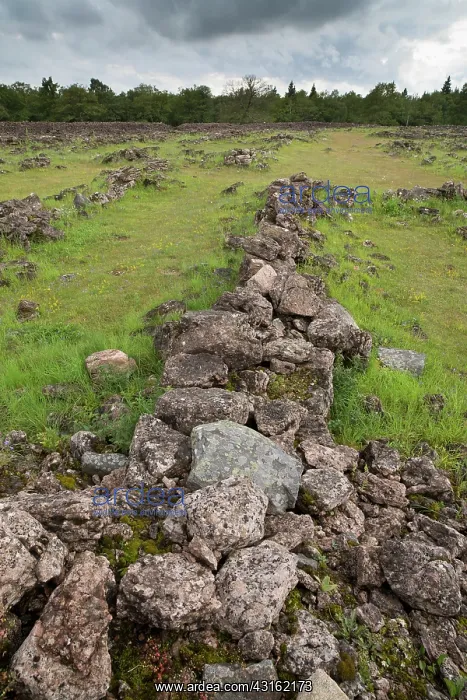 : The walls of an old ringfort grown with vegetation : The walls of an old ringfort grown with vegetation