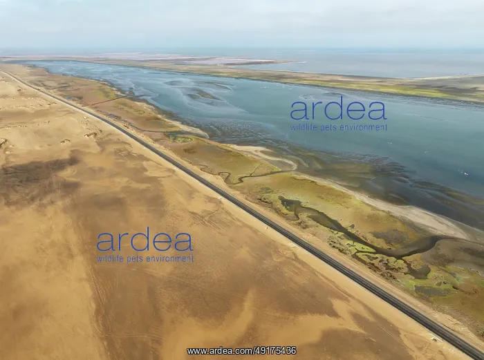 : The Walvis Bay Lagoon between Namib Desert and Atlantic Ocean : The Walvis Bay Lagoon between Namib Desert and Atlantic Ocean