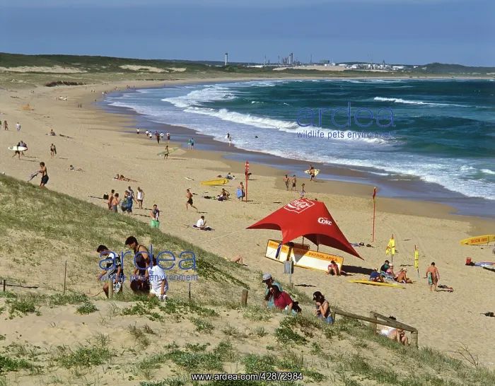 : Wanda Beach with Kurnell oil refinery in background