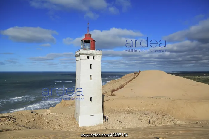 : Wandering dune and the Rubjerg Knude lighthouse : Wandering dune and the Rubjerg Knude lighthouse