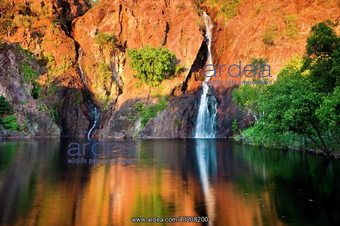 : Wangi Falls at sunset, Litchfield National Park : Wangi Falls at sunset, Litchfield National Park