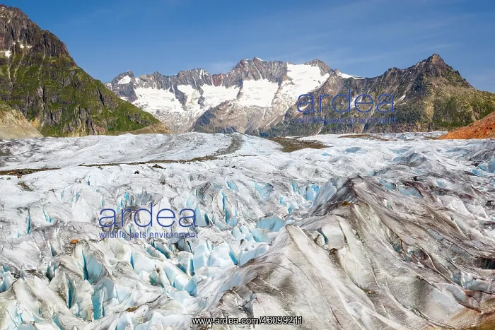 : Wannenhnrner and Aletsch Glacier, Valais, Switzerland : Wannenhnrner and Aletsch Glacier, Valais, Switzerland