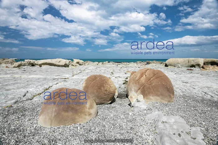 : Ward boulders, round stone balls, Ward, Marlborough : Ward boulders, round stone balls, Ward, Marlborough