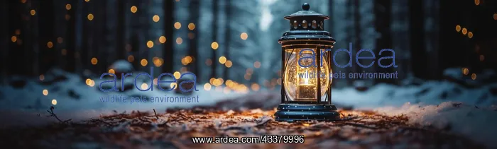 : Warm and inviting lit vintage lantern resting on : Warm and inviting lit vintage lantern resting on