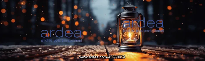  : Warm and inviting lit vintage lantern resting on