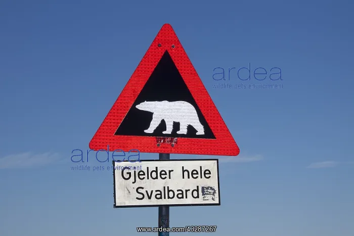 : Warn sign - Polar Bear - Svalbard, Norway : Warn sign - Polar Bear - Svalbard, Norway