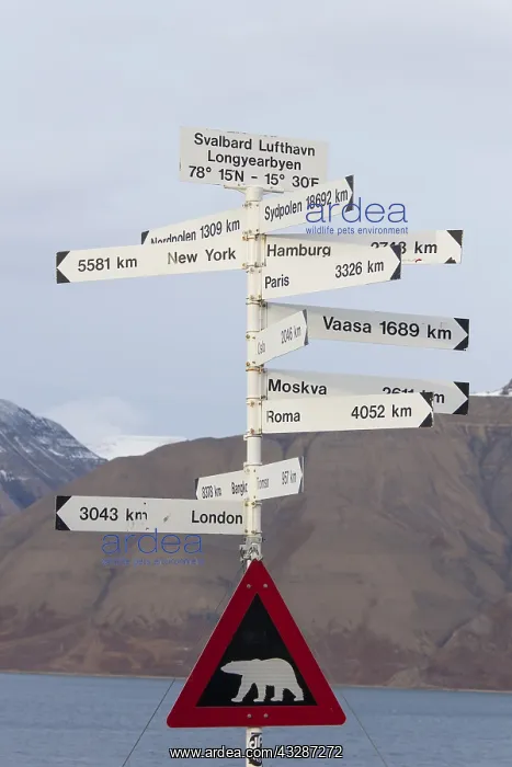 : Warn sign - Polar Bear - Svalbard, Norway : Warn sign - Polar Bear - Svalbard, Norway