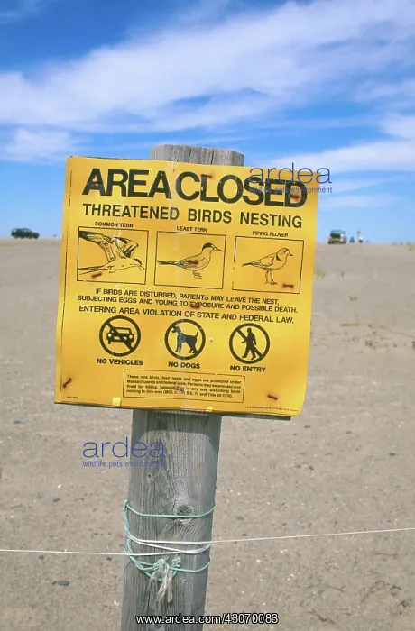: Warning at Bird Nesting Area : Warning at Bird Nesting Area