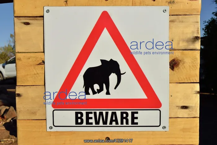 : Warning sign for elephants, Palmwag Concession : Warning sign for elephants, Palmwag Concession