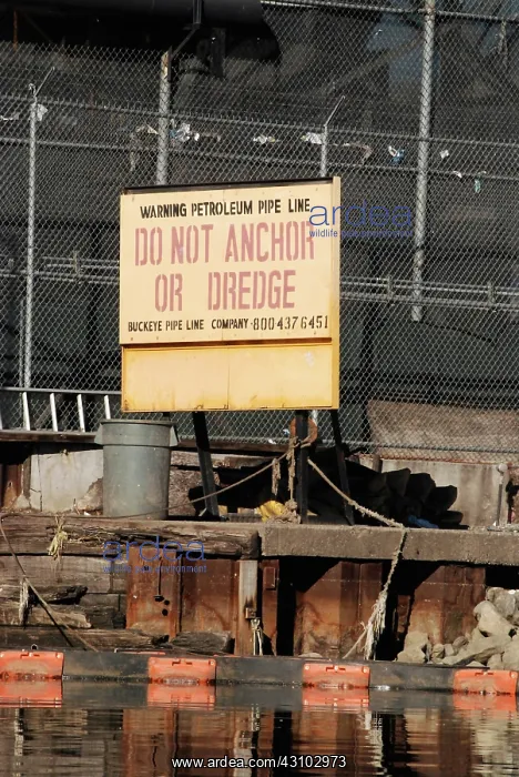 : Warning Sign Along Newtown Creek, NYC : Warning Sign Along Newtown Creek, NYC