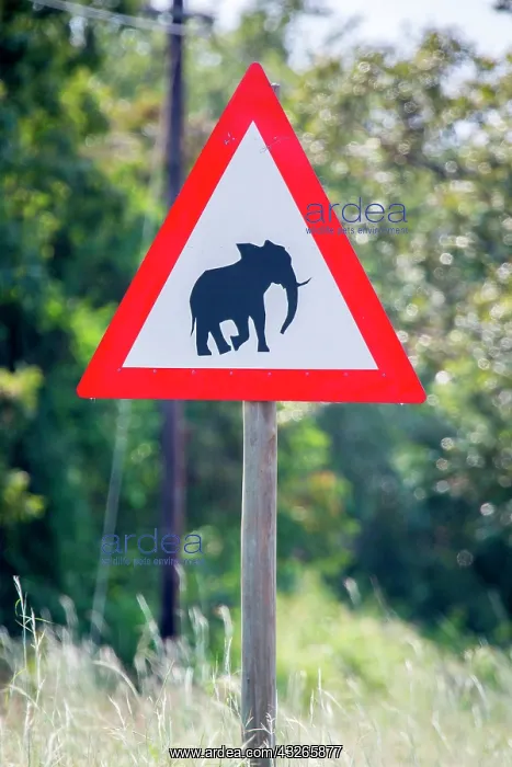 : Warning sign, Warning of wild elephants, Manyeleti : Warning sign, Warning of wild elephants, Manyeleti