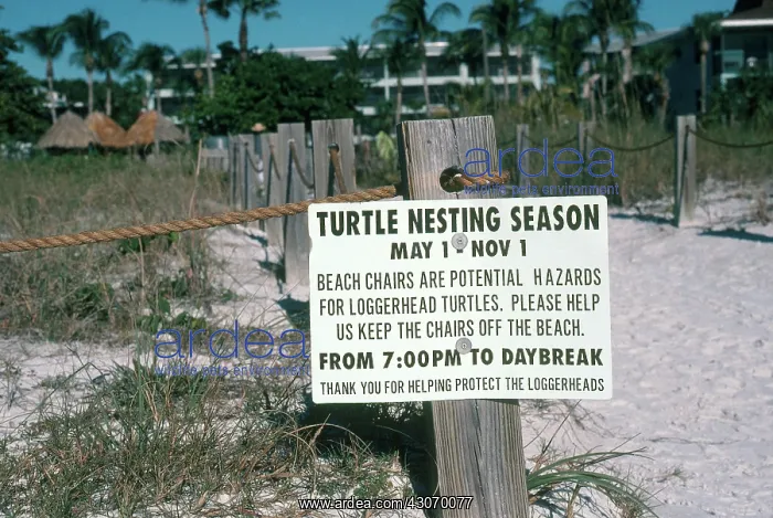 : Warning at Turtle Nesting Area : Warning at Turtle Nesting Area