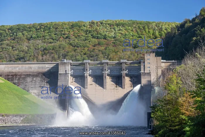 : Warren, Pennsylvania, The Kinzua Dam on the Alle : Warren, Pennsylvania, The Kinzua Dam on the Alle