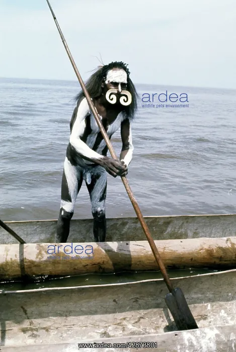 : Warrior from the Asmat. He has never seen a white : Warrior from the Asmat. He has never seen a white