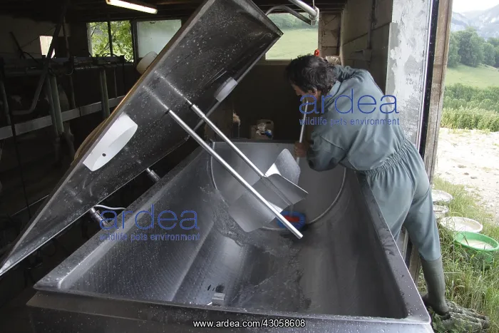 : Wash the milk tank in a dairy farmer farmer : Wash the milk tank in a dairy farmer farmer