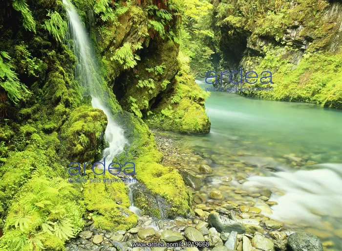 : Washington, Olympic National Park, Waterfall : Washington, Olympic National Park, Waterfall