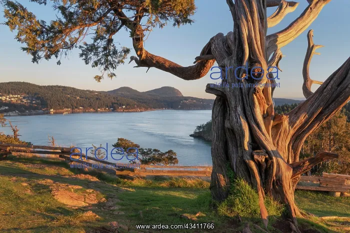 : Washington Park Anacortes, Washington State : Washington Park Anacortes, Washington State