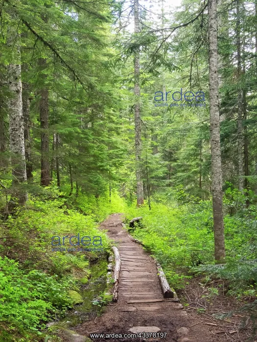 : Washington State, Central Cascades, Trail to Pratt Ridge : Washington State, Central Cascades, Trail to Pratt Ridge
