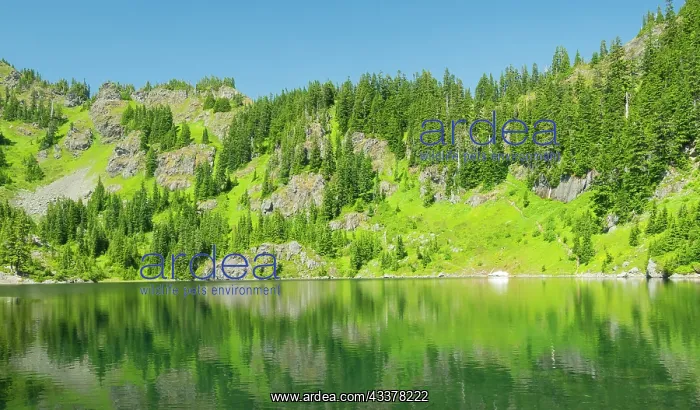 : Washington State, Central Cascades, Rampart Ridge : Washington State, Central Cascades, Rampart Ridge