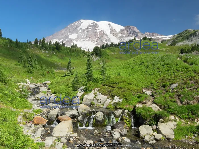 : Washington State, Mount Rainier National Park. Edith : Washington State, Mount Rainier National Park. Edith