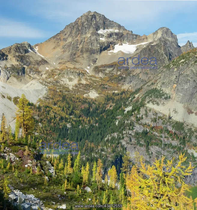  : Washington State, North Cascades, Lewis Lake and