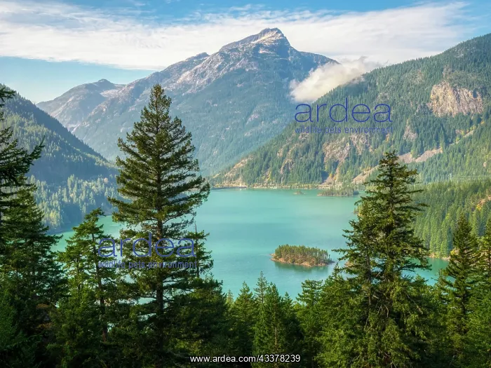 : Washington State, Ross Lake National Recreation : Washington State, Ross Lake National Recreation