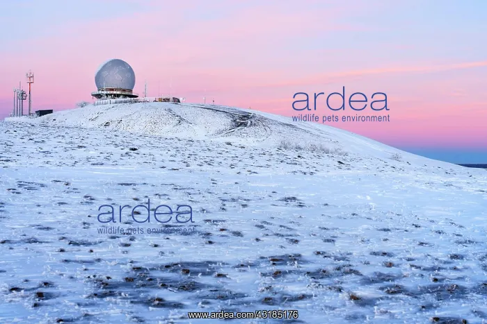 : Wasserkuppe in winter, dusk, Radom, nature park : Wasserkuppe in winter, dusk, Radom, nature park