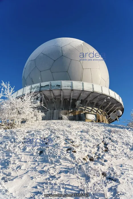  : Wasserkuppe in winter, Radom, Hessian Rhnn nature