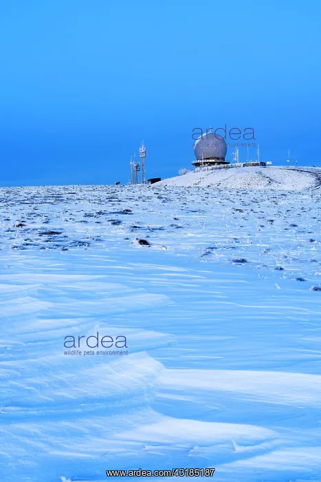 : Wasserkuppe in winter, Radom, Hessian Rhnn nature : Wasserkuppe in winter, Radom, Hessian Rhnn nature