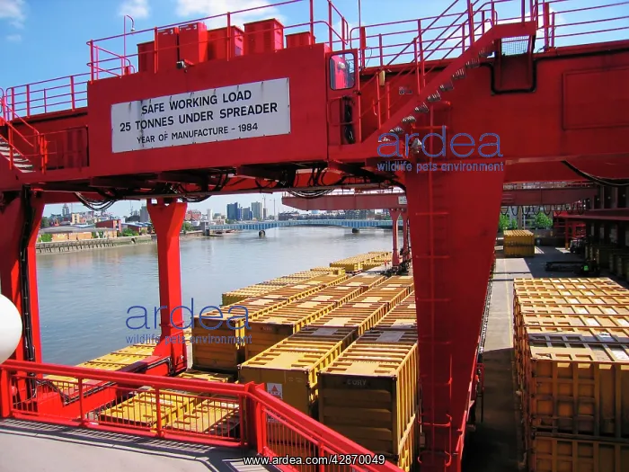 : Waste disposal - containers of compressed waste : Waste disposal - containers of compressed waste