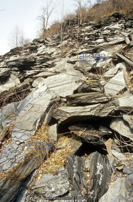 : Slate. Mine waste pile of slate; Bangor, Pennsylvania : Slate. Mine waste pile of slate; Bangor, Pennsylvania