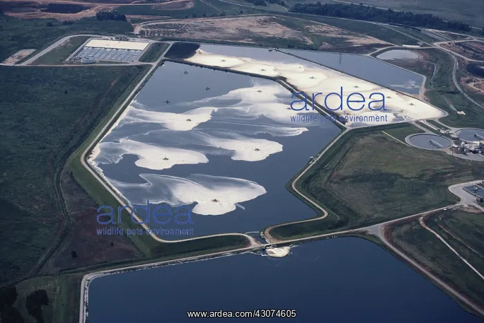 : Waste Water Treatment : Waste Water Treatment