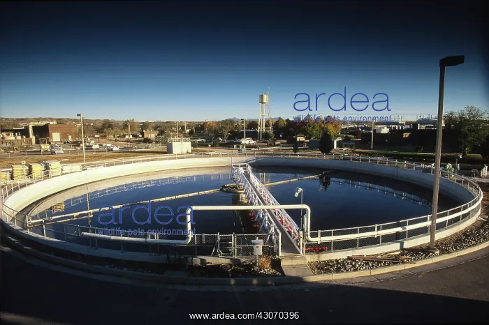 : Wastewater treatment, primary clarifier : Wastewater treatment, primary clarifier