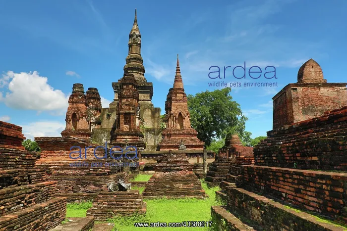 : Wat Mahathat Temple, Royal Sanctuary, Sukhothai, Thailand : Wat Mahathat Temple, Royal Sanctuary, Sukhothai, Thailand