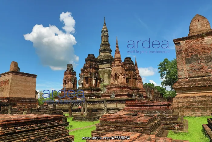 : Wat Mahathat Temple, Royal Sanctuary, Sukhothai, Thailand : Wat Mahathat Temple, Royal Sanctuary, Sukhothai, Thailand