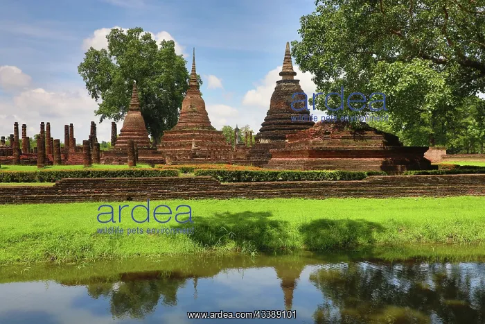 : Wat Mahathat Temple, Royal Sanctuary, Sukhothai, Thailand : Wat Mahathat Temple, Royal Sanctuary, Sukhothai, Thailand