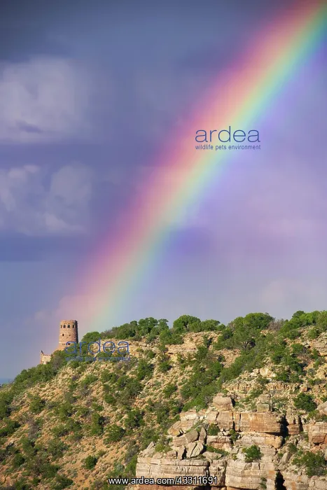 : Watchtower watchtower with rainbow, Desert View : Watchtower watchtower with rainbow, Desert View