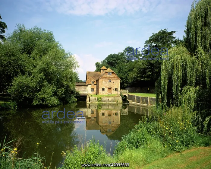 : Water Mill : Water Mill