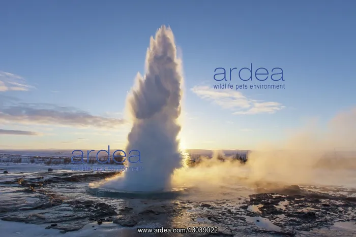: Water column of Geyser Stokkur : Water column of Geyser Stokkur