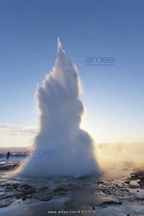 : Water column of Geyser Stokkur : Water column of Geyser Stokkur