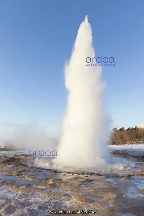 : Water column of Geyser Stokkur : Water column of Geyser Stokkur