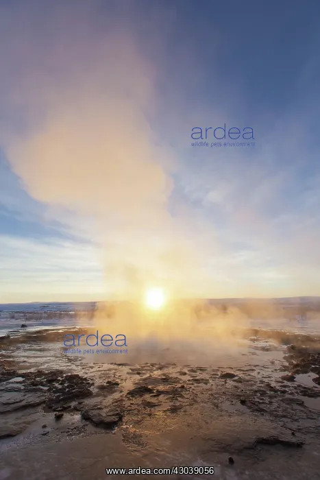 : Water column of Geyser Stokkur : Water column of Geyser Stokkur