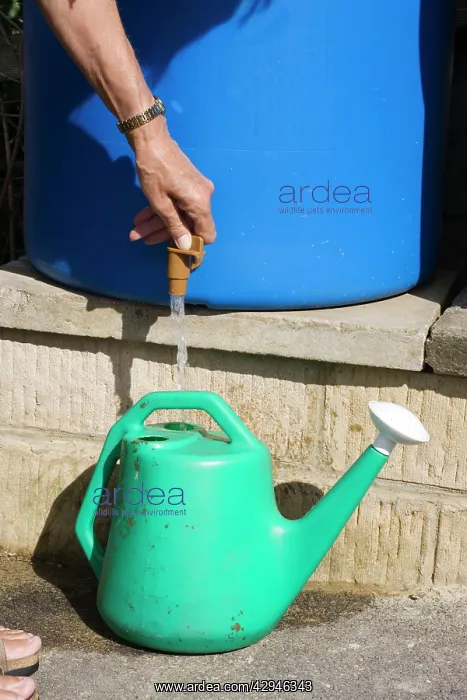 : Water conservation - woman filling watering can : Water conservation - woman filling watering can