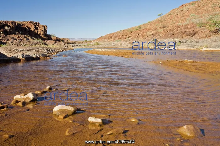 : Water in the Desert - Precious water near Palmwag : Water in the Desert - Precious water near Palmwag