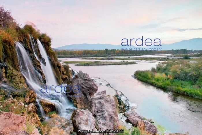 : Water falls on small stream flowing into : Water falls on small stream flowing into