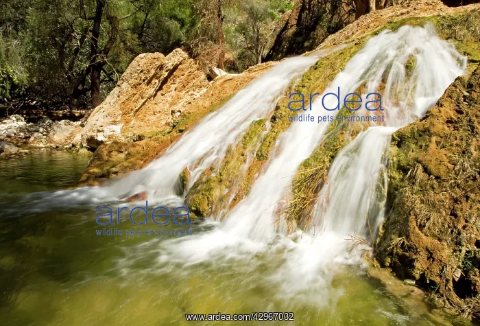  : Water flowing over rocky terrain